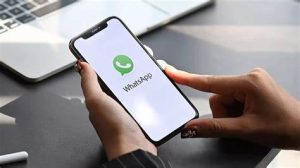 generar contactos

