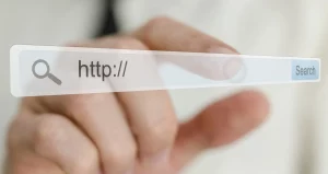 dominio web busqueda online 