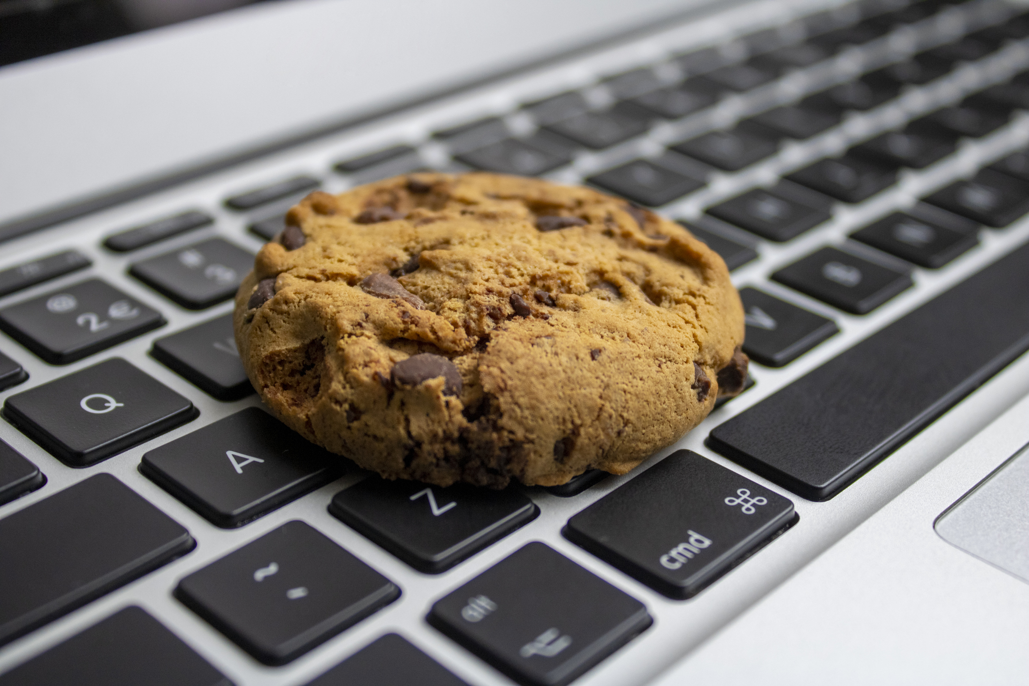 cookies web